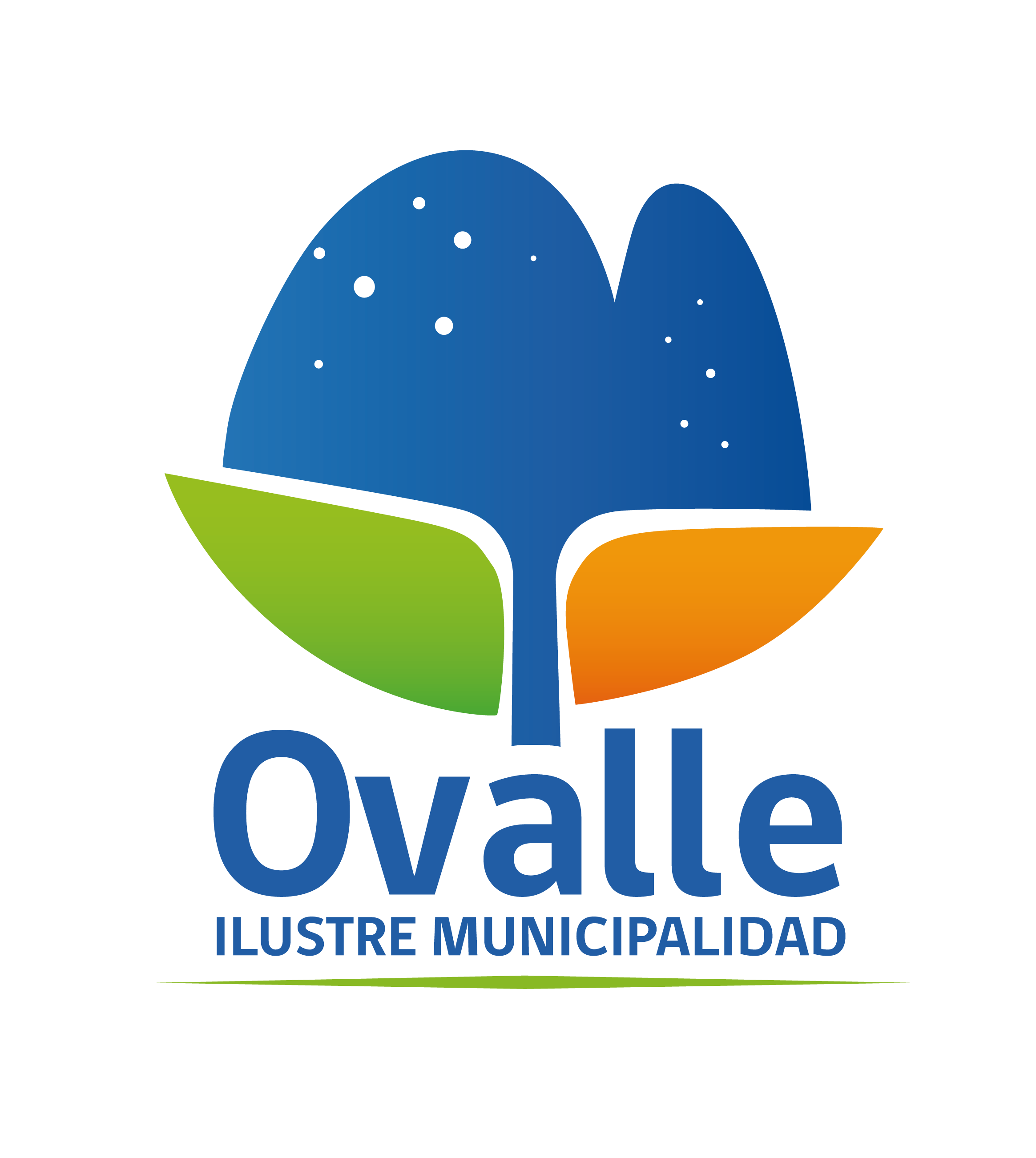 logo muni ovalle_Mesa de trabajo 1 copia(1)